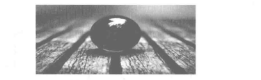 國威：光電信息顯示技術(shù)的發(fā)展趨勢及在安防中的運(yùn)用